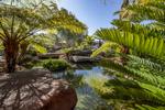 Garden Pond